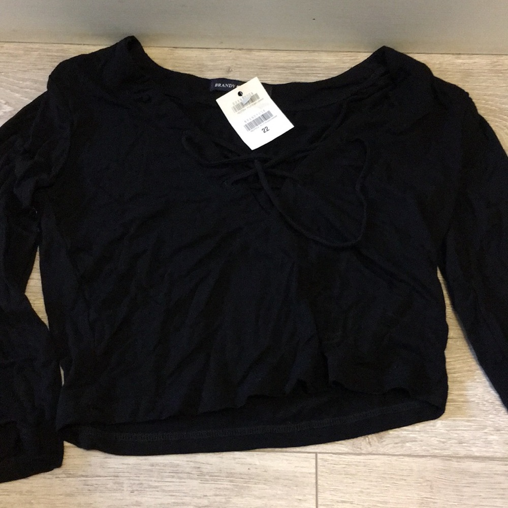 Brandy Melville Crop Top